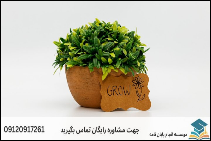 چرا نگارش پایان‌نامه حقوق محیط‌زیست چالش‌برانگیز است؟