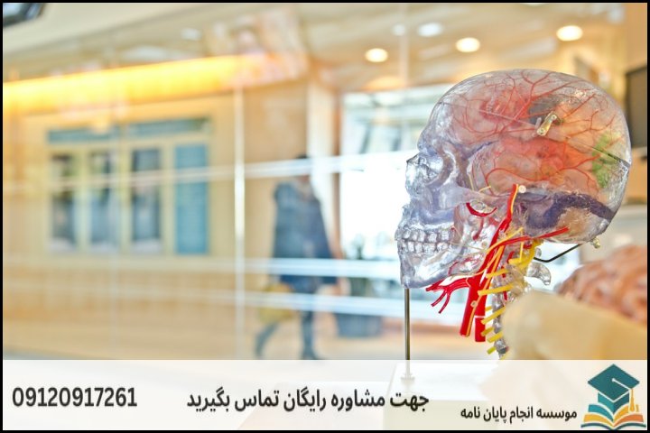 انجام پایان نامه کارشناسی ارشد رشته علوم شناختی + تضمینی