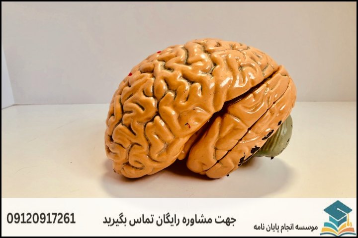انجام پایان نامه کارشناسی ارشد رشته علوم شناختی + تضمینی