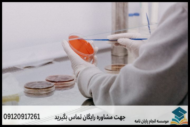 نگارش پایان نامه با نمونه کار در حوزه زیست‌فناوری — تصویر 3